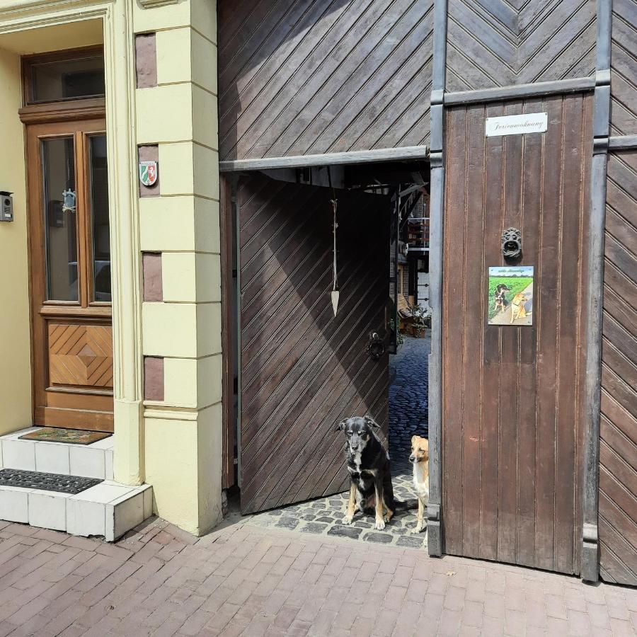 Ferienwohnung Hahnenblick Waldfeucht 외부 사진